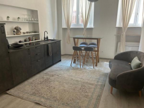 Splendido Loft Centro Storico Parma Parma